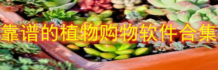 靠谱的植物购物软件合集