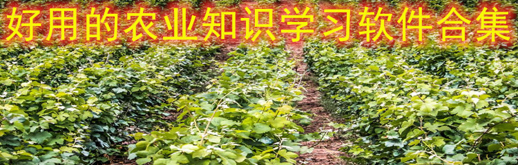 好用的农业知识学习软件合集