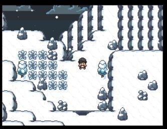 口袋妖怪九重天汉化版