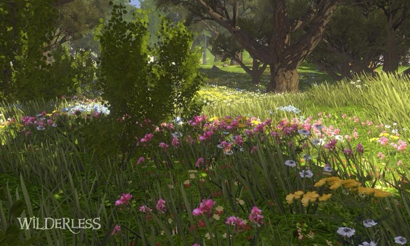 Wilderless流浪荒野