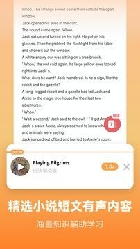 莱特英语背单词-图5