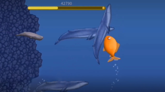 救救小鱼大作战