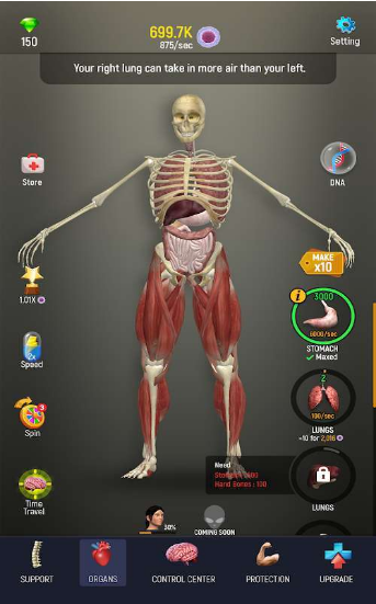 人体模型模拟器