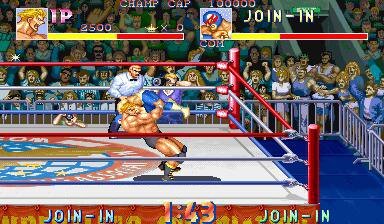 摔跤霸王完美版下载