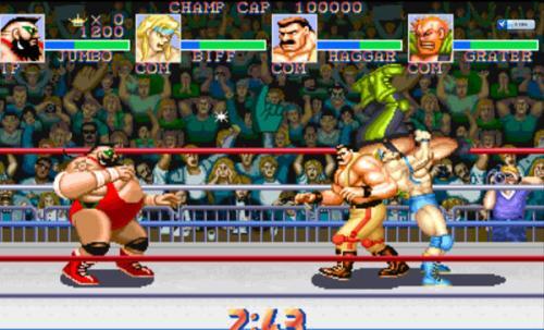 摔跤霸王完美版下载