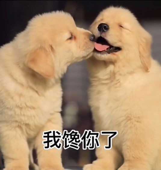 出来约会呀我馋你了表情包-图1