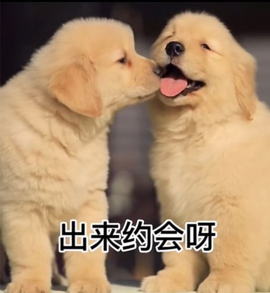 出来约会呀我馋你了表情包-图4