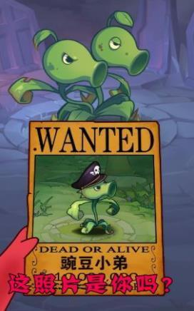 僵尸总动员 僵尸总动员