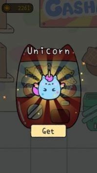 休闲布尼猫 休闲布尼猫