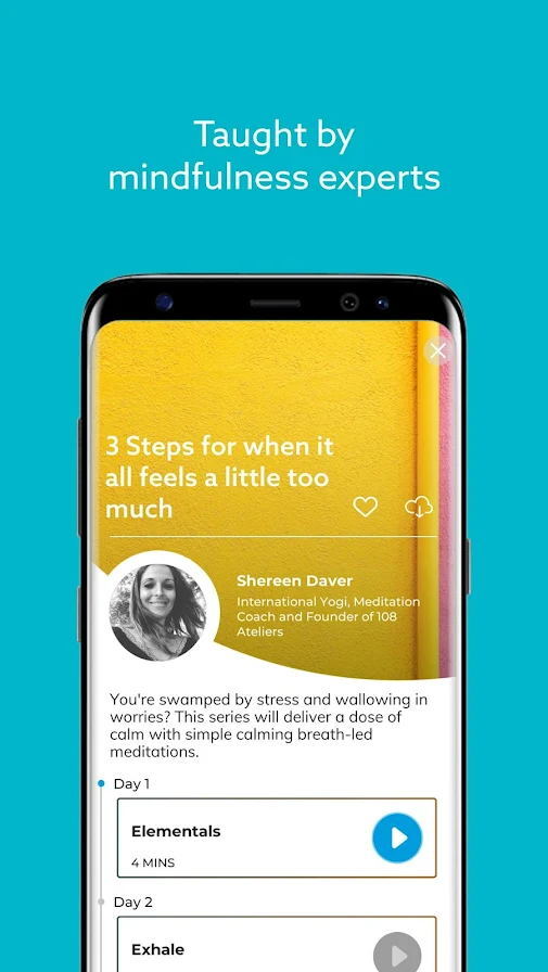 冥想训练 冥想训练