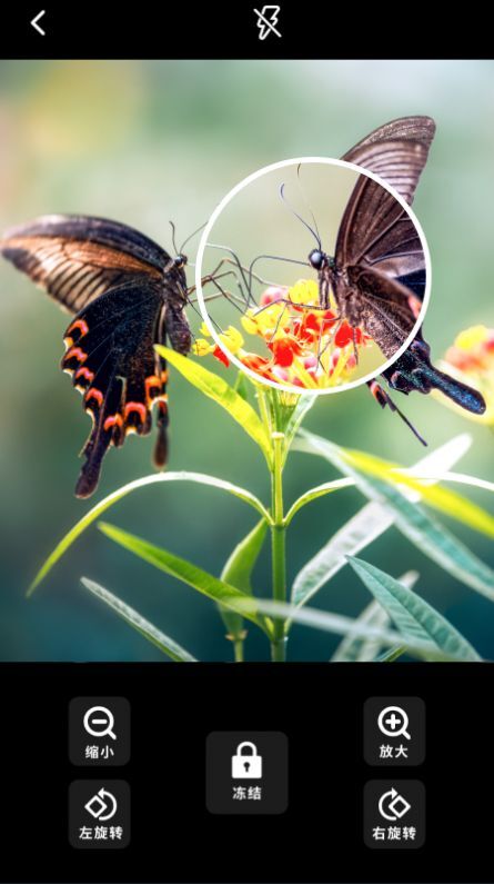 i放大镜 i放大镜