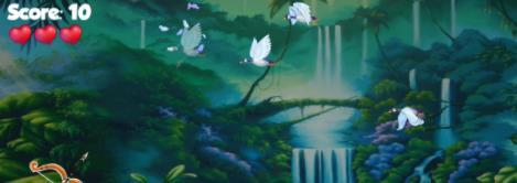 射鸭射鸟 射鸭射鸟