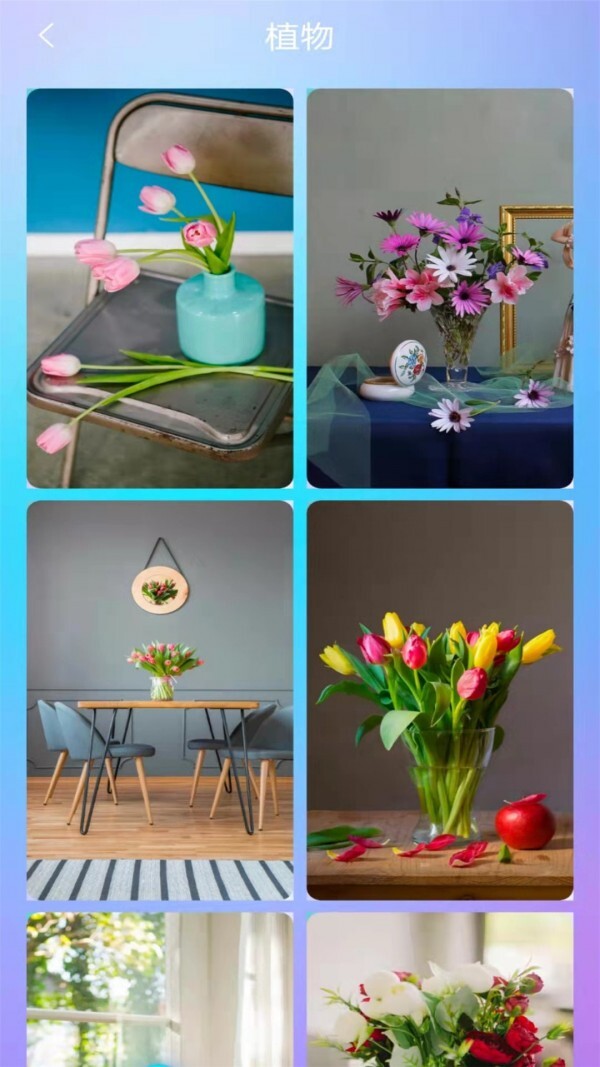 桌面壁纸秀-图2