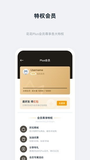 花花会员-图2
