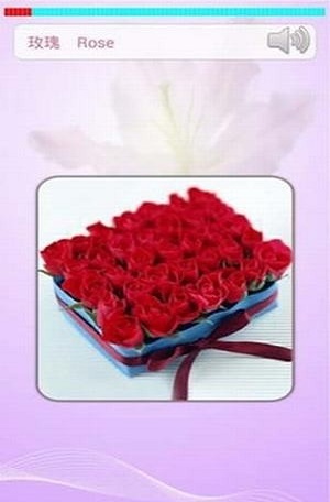 小孩子学英语-图2