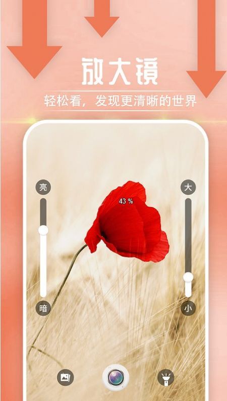 宵宵阅读大字报-图3