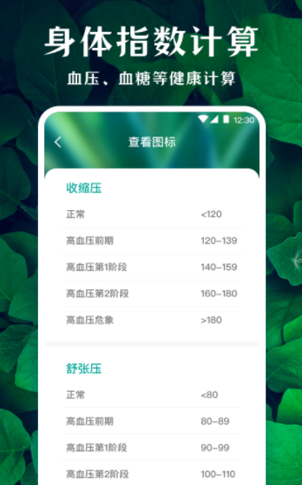 薄荷广场舞-图2