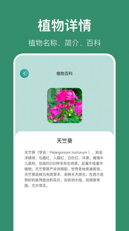 识花草app-图3