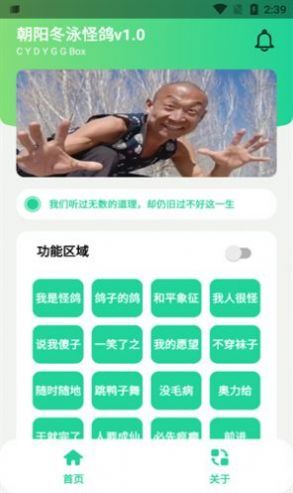 冬泳怪鸽盒语音包