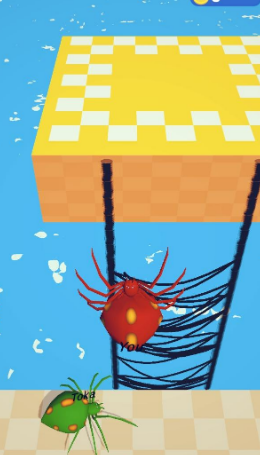 巨型蜘蛛竞技场 巨型蜘蛛竞技场