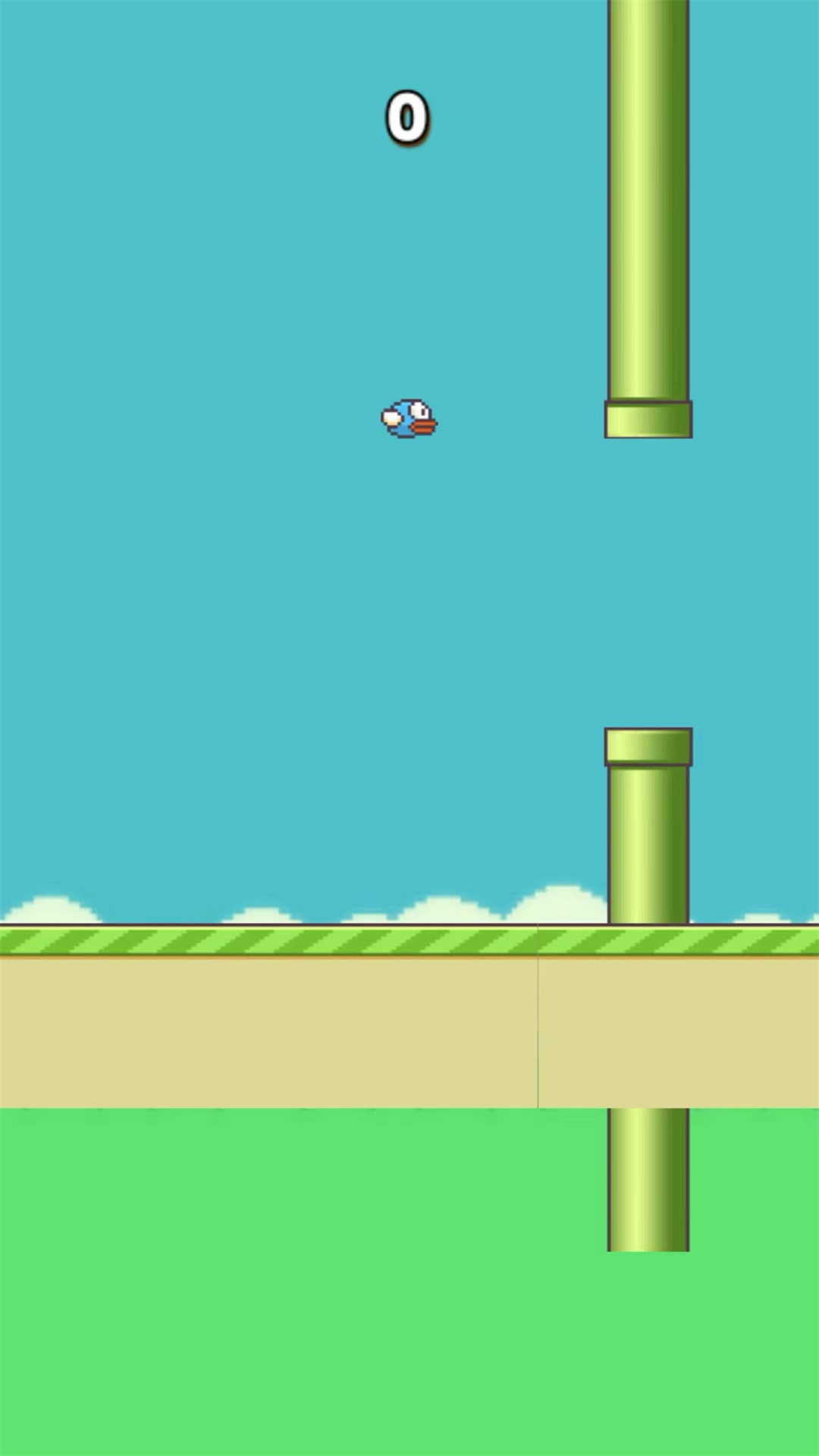 笨鸟努努 笨鸟努努