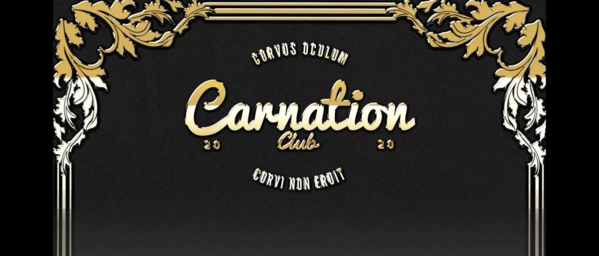 康乃馨俱乐部5.1安卓汉化