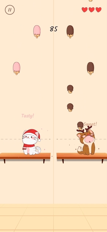 猫咪二重奏 猫咪二重奏