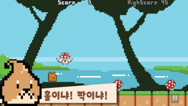 丁丁探索地球 丁丁探索地球