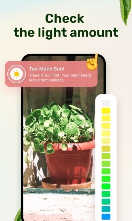 Plant Parent Plant Parent