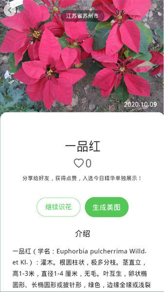 花朵识别-图3