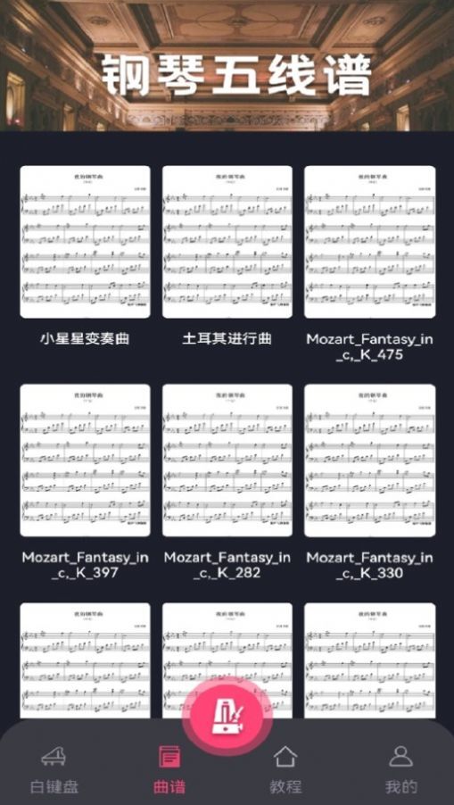 指尖上的钢琴大师 指尖上的钢琴大师