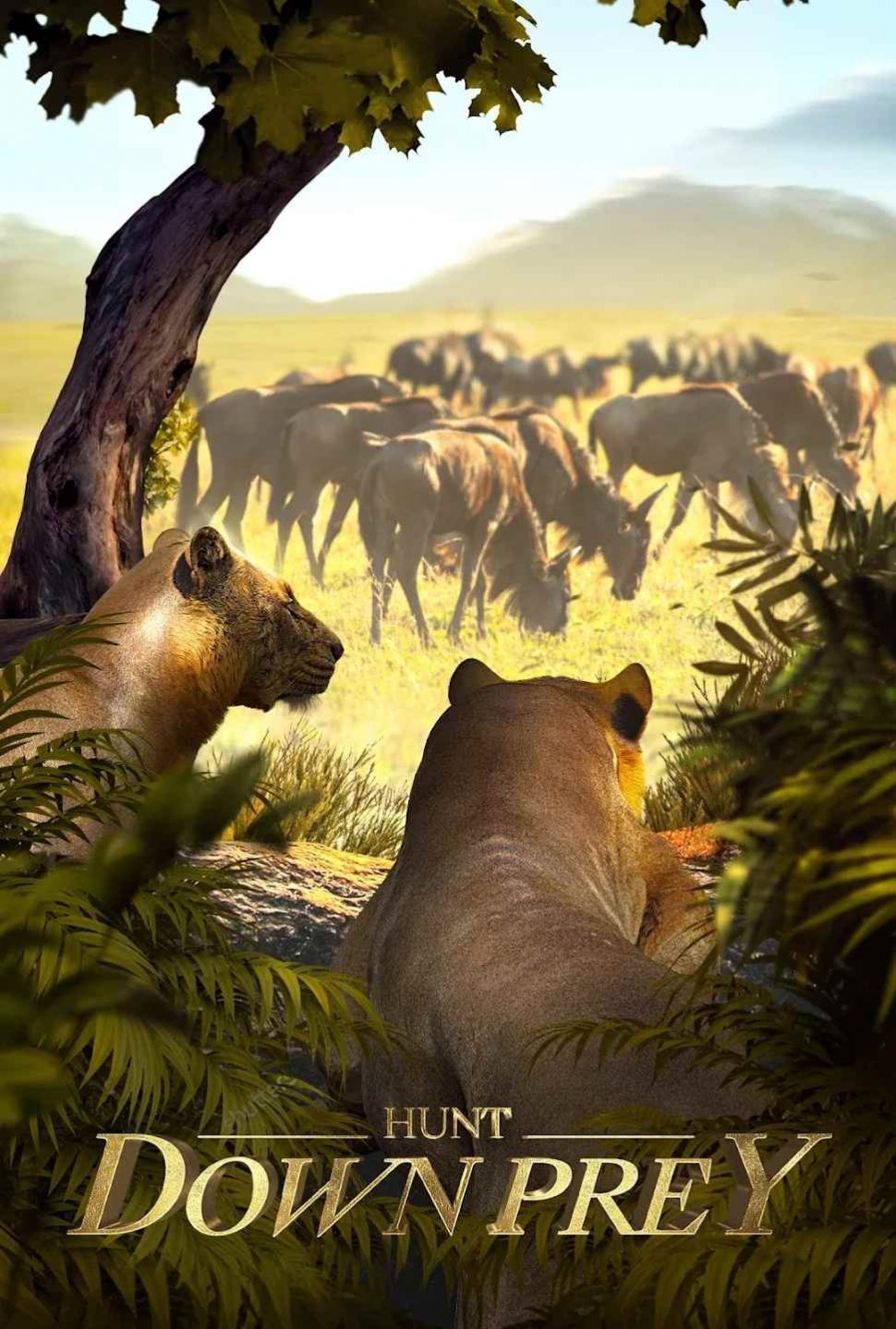 野兽领主新世界 野兽领主新世界