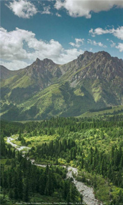 河北森林督查-图2