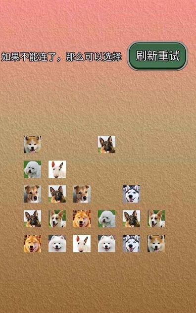 宠物连的快 宠物连的快