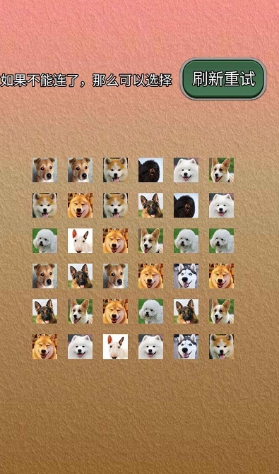 宠物连的快 宠物连的快