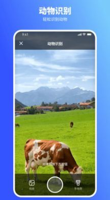 欢喜扫描王 欢喜扫描王