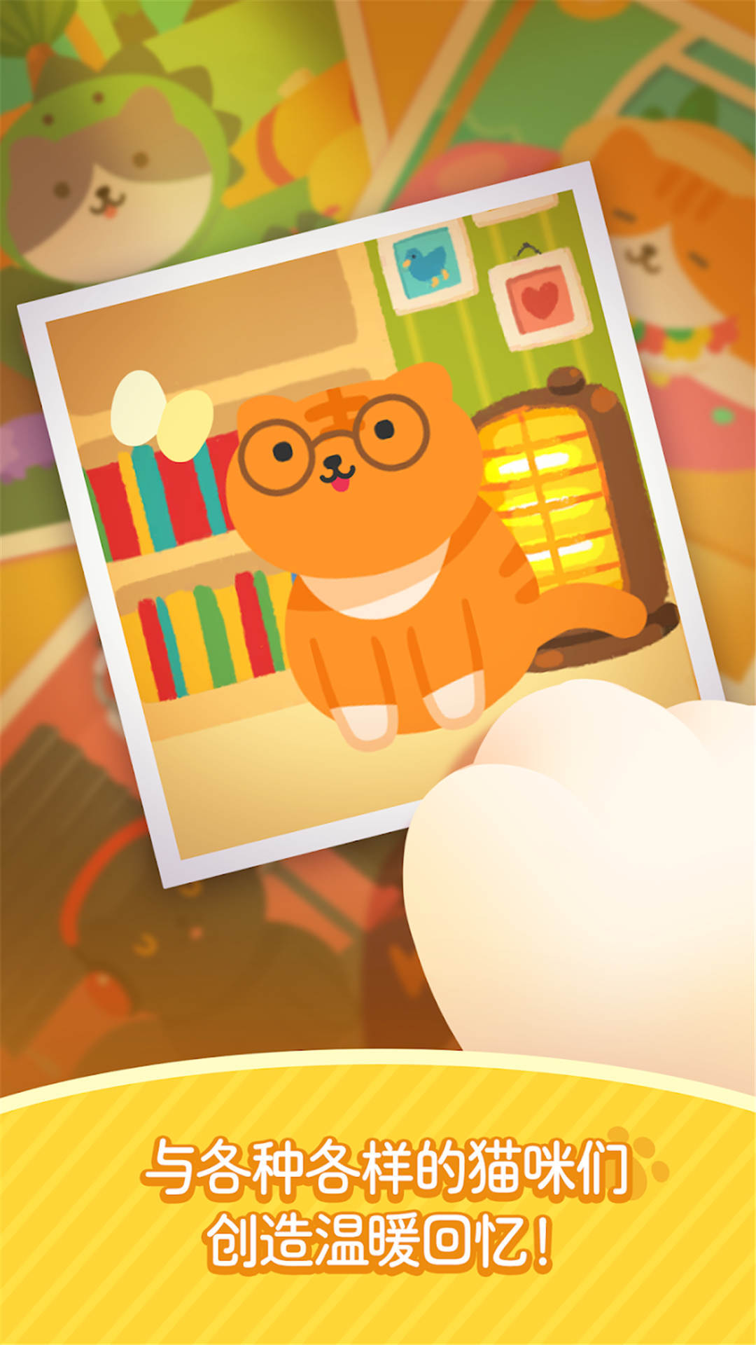 猫猫咪呀 猫猫咪呀