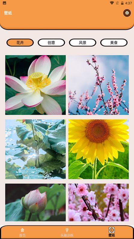 超能王国 超能王国