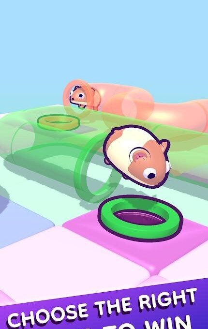 管道仓鼠 管道仓鼠