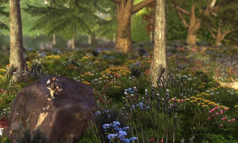 Wilderless流浪荒野