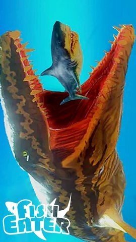 鱼食者大乱斗 鱼食者大乱斗