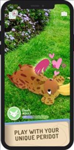 精灵宝可梦peridot 精灵宝可梦peridot