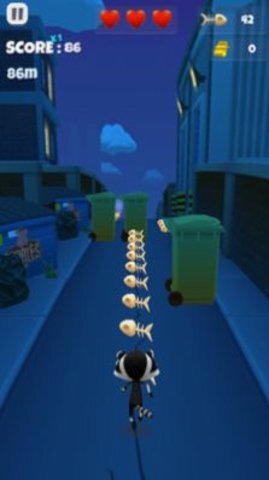 会跑酷的猫 会跑酷的猫