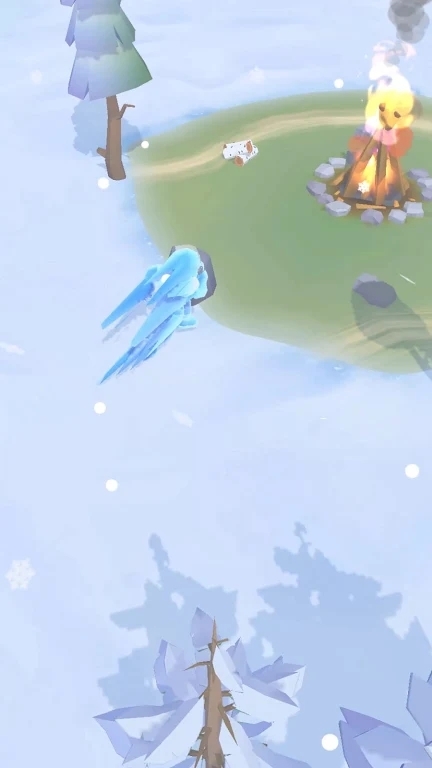 冰冷生存放置 冰冷生存放置