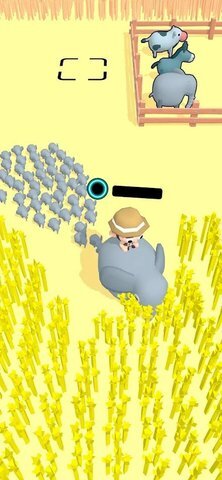 食草动物 食草动物