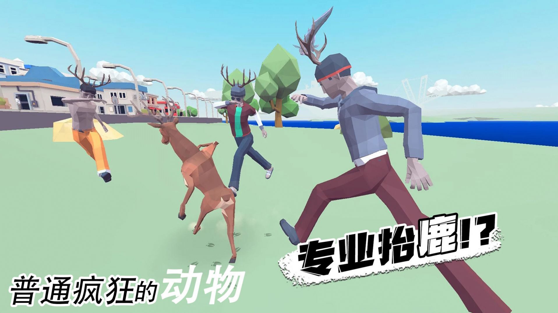 普通疯狂的动物 普通疯狂的动物