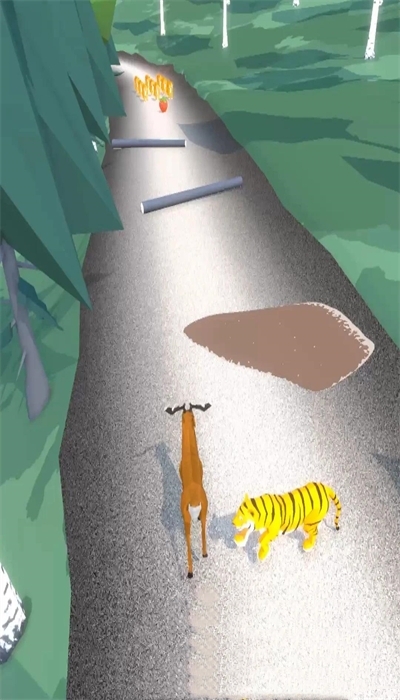 动物追逐奔跑 动物追逐奔跑