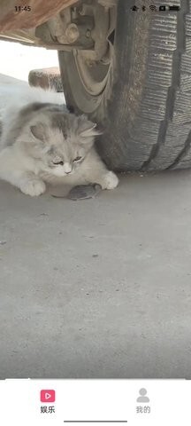 爱刷剧短剧-图1