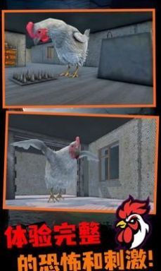 鸡你太丑 鸡你太丑