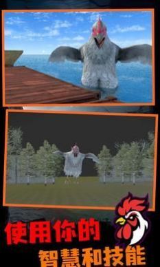 鸡你太丑 鸡你太丑